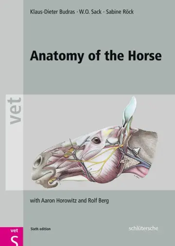 Cover of Anatomy of the Horse