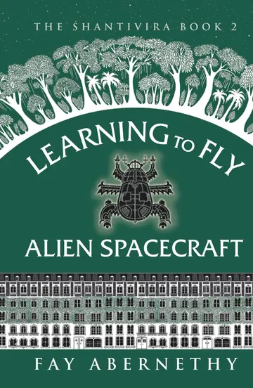 Cover of Learning to Fly Alien Spacecraft