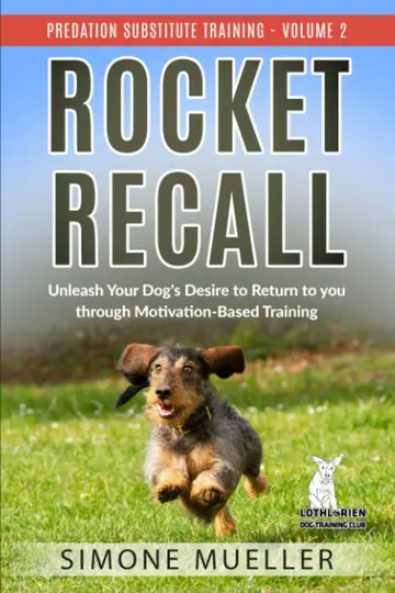 Cover of Rocket Recall