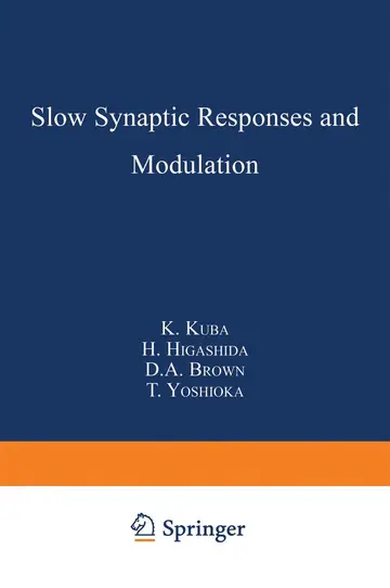Cover of Slow Synaptic Responses and Modulation