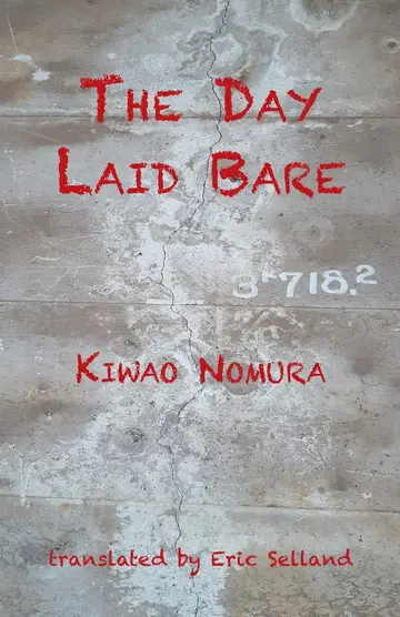Cover of The Day Laid Bare