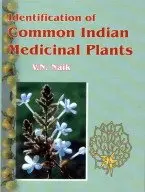 Cover of Identification of Common Indian Medicinal Plants
