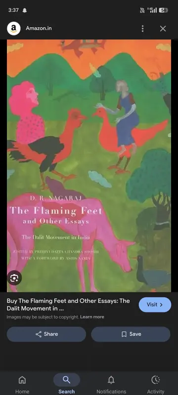 Cover of Flaming Feet and Other Essays, the