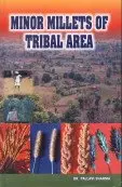 Cover of Minor Millets of Tribal Area