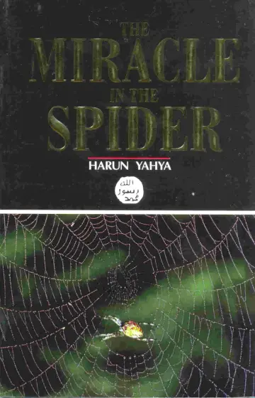 Cover of The Miracle in the Spider