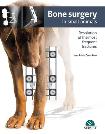 Cover of Bone Surgery in Small Animals Resolution of the Most Frequent Fractures