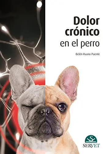 Cover of Dolor Crónico En El Perro
