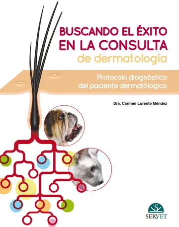 Cover of Buscando El Éxito En La Consulta de Dermatología