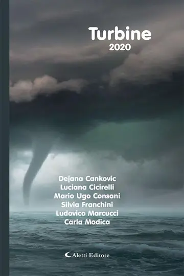 Cover of Turbine 2020