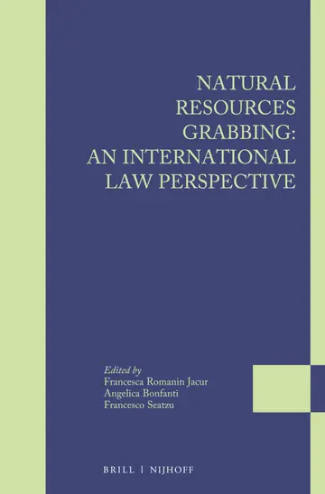 Cover of Natural Resources Grabbing