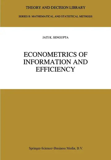 Cover of Econometrics of Information and Efficiency