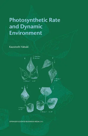 Cover of Photosynthetic Rate and Dynamic Environment
