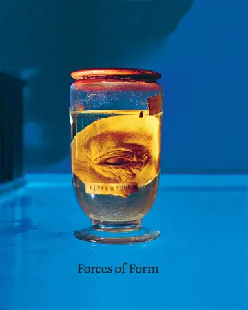 Cover of Forces of Form