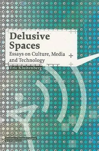 Cover of Delusive Spaces