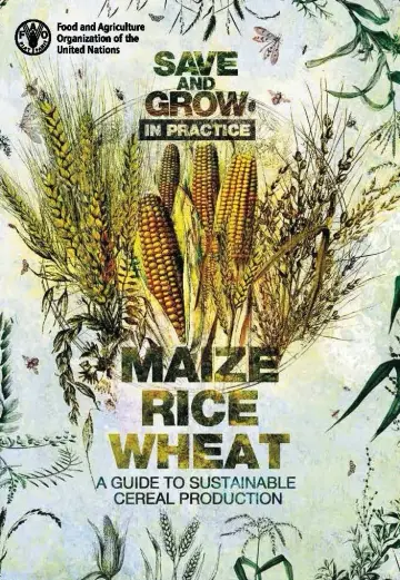 Cover of Save and grow in practice