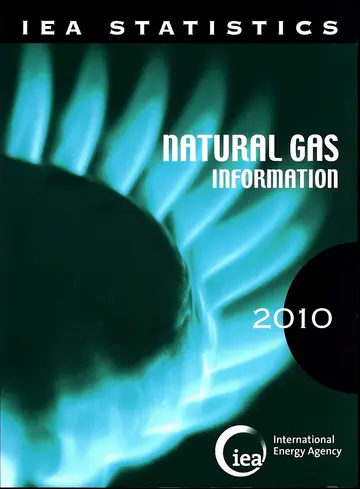 Cover of Natural Gas Information 2010