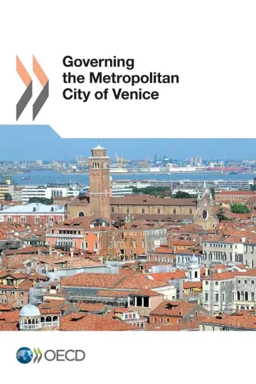 Cover of Governing the metropolitan city of Venice
