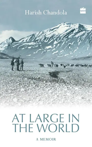 Cover of At Large in the World