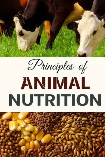 Cover of Principles of animal nutrition First edition