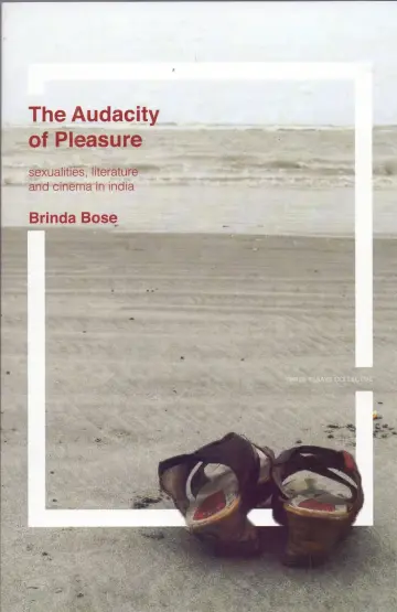Cover of Audacity of Pleasure