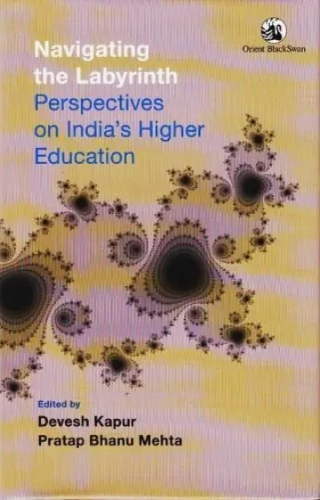 Cover of Navigating the Labyrinth