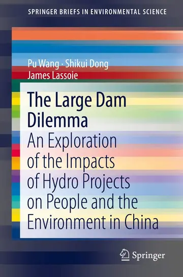 Cover of The Large Dam Dilemma