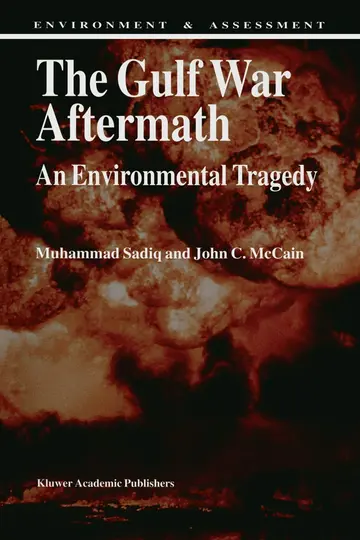 Cover of The Gulf War Aftermath