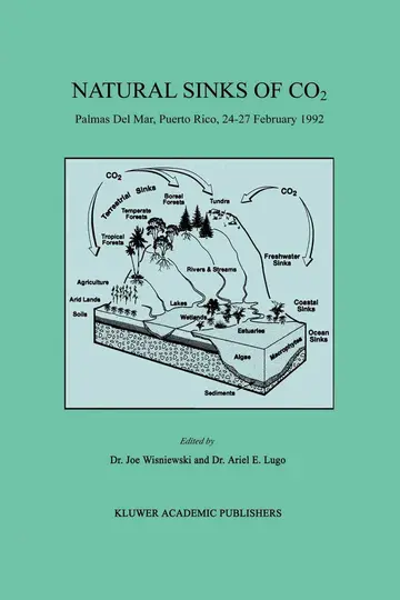 Cover of Natural Sinks of CO2