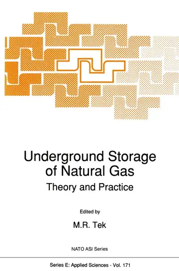 Cover of Underground Storage of Natural Gas