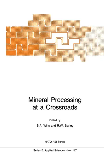 Cover of Mineral Processing at a Crossroads