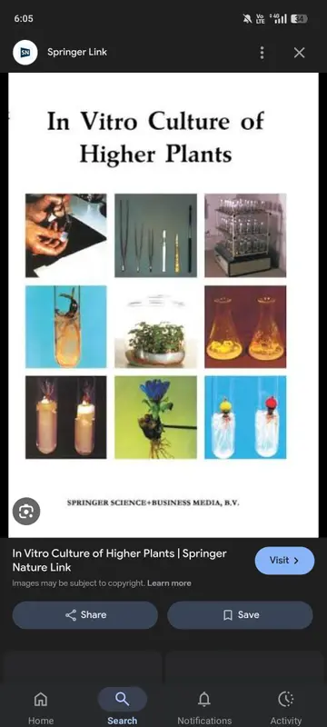 Cover of In Vitro Culture of Higher Plants