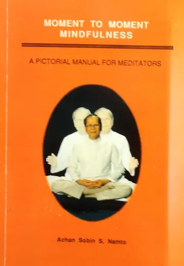 Cover of Moment to moment mindfulness