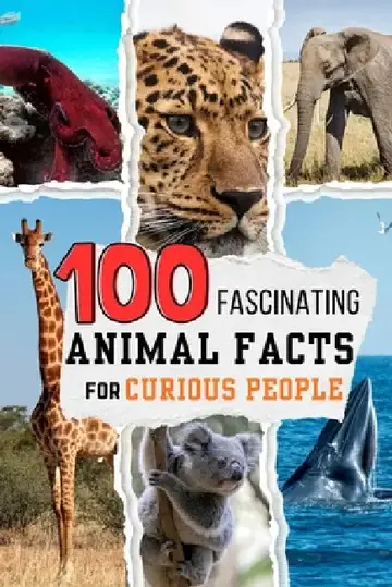 Cover of 100 Fascinating Animal Facts for Curious People