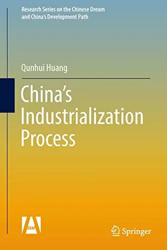 Cover of China's Industrialization Process