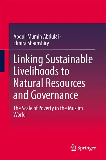 Cover of Linking Sustainable Livelihoods to Natural Resources and Governance