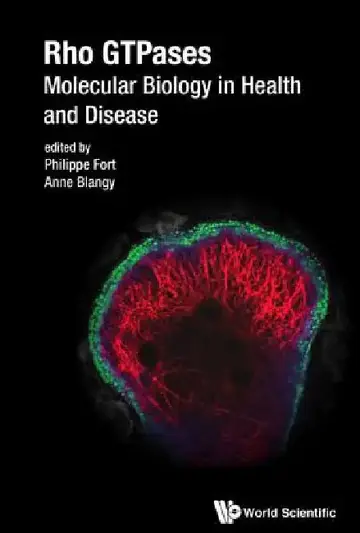 Cover of Rho Gtpases