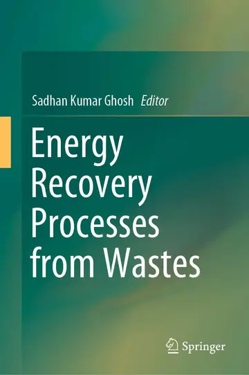 Cover of Energy Recovery Processes from Wastes