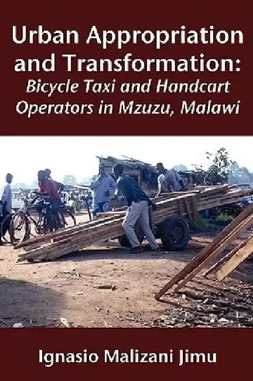 Cover of Urban Appropriation and Transformation