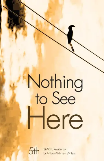 Cover of Nothing to See Here
