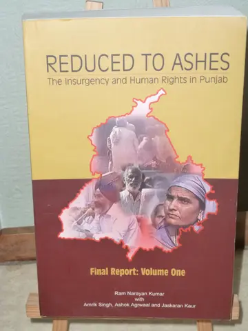 Cover of Reduced to Ashes