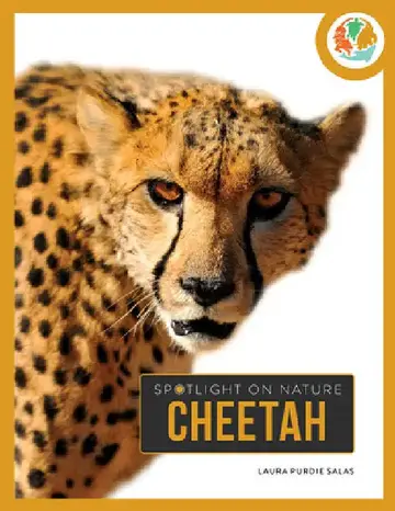 Cover of Cheetah