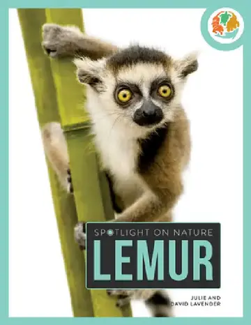 Cover of Lemur