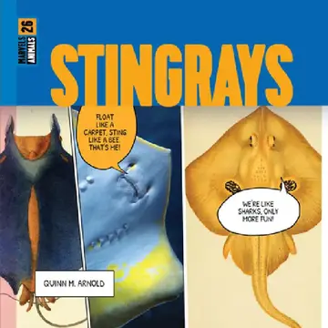 Cover of Stingrays