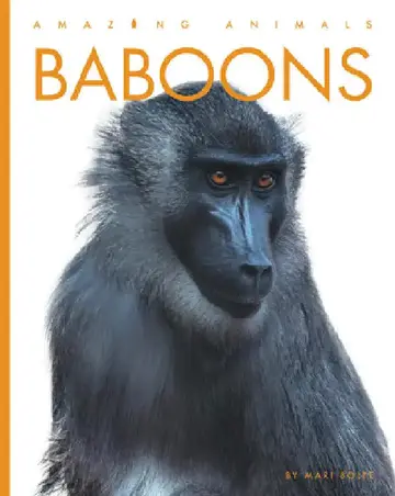 Cover of Baboons