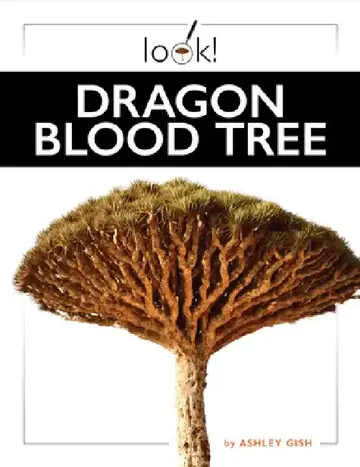 Cover of Dragon Blood Tree