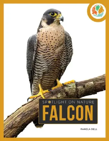Cover of Falcon