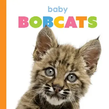 Cover of Baby Bobcats