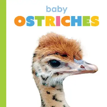 Cover of Baby Ostriches