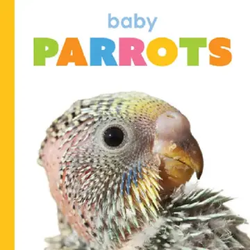 Cover of Baby Parrots