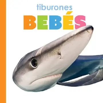 Cover of Tiburones Bebés